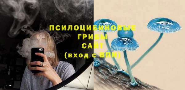 дживик Аркадак