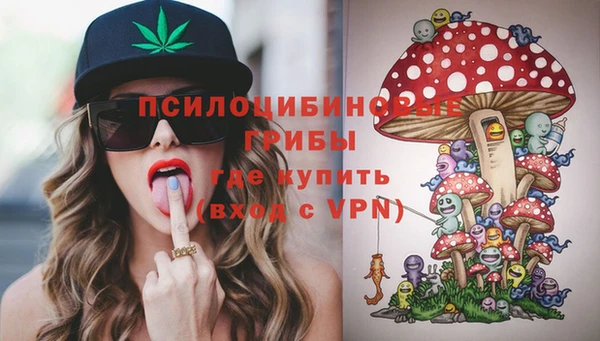 дживик Аркадак